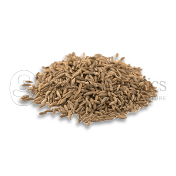 Neel Ayurvedics Jeera Seeds | Cumin Seeds | Jeera Safed | Jira White | Cuminum cyminum