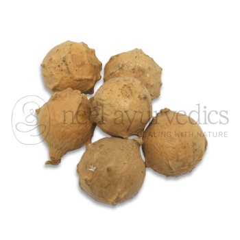 Neel Ayurvedics Katalu Mayu | Majuphal | Majufal | Oak Gall | Gallnuts | Manjakani | Quercus infectoria