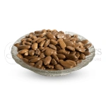 Neel Ayurvedics Borsali Beej |  Mimusops Elengi Seeds | Borsali Seeds