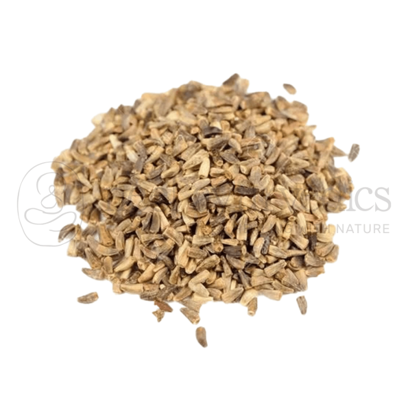 Neel Ayurvedics Kasni Seeds