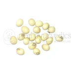 Neel Ayurvedics White Chanothi