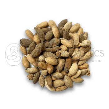 Neel Ayurvedics Limda Beej |  Neem Seeds | Neem Beej | Neem Giri | Niboli | Nimboli | Azadirachta indica