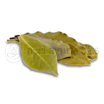 Neel Ayurvedics Rasna Pan | Rasnai Leaf | Ray Sanay Patta | Rai Senna | Pluchea Lanciolata