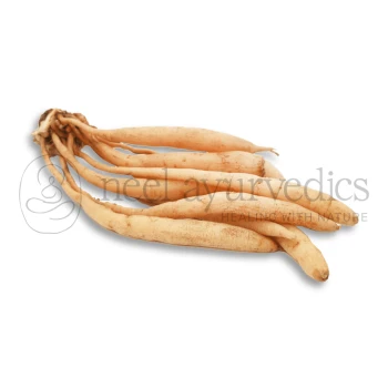 Neel Ayurvedics White Shatavari Root | Asparagus racemosus - Best for Improve vitality
