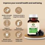 Maharishi-Ayurveda-Shilajeet-Rasayana-Tablet-–-60-Tab.png