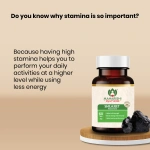Maharishi-Ayurveda-Shilajeet-Rasayana-Tablet-–-60-Tab.png