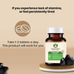 Maharishi-Ayurveda-Shilajeet-Rasayana-Tablet-–-60-Tab.png