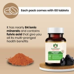 Maharishi-Ayurveda-Shilajeet-Rasayana-Tablet-–-60-Tab.png