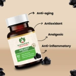 Maharishi-Ayurveda-Shilajeet-Rasayana-Tablet-–-60-Tab.png