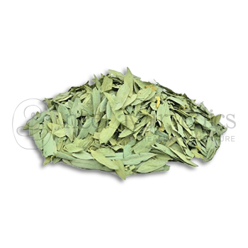 Neel Ayurvedics Sonamukhi Leaves | Senna Leaves | Mindhiaval | Senna Patta | Sanay Leaves | Senna Leaf | Sona Patta | Oroxylum Indicum