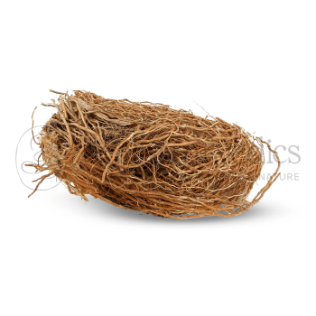 Neel Ayurvedics Sugandhi Valo | Khus Jad | Ushira | Vetiver Roots | Vetiveria Zizanioides | Ramacham