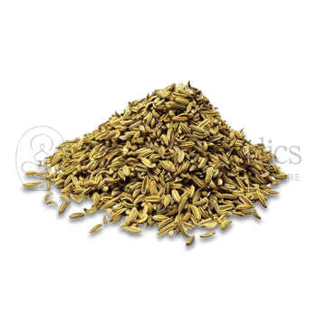 Neel Ayurvedics Variyali | Fennel Seeds | Saunf Rome | Fennel Fruit | Foeniculum vulgare