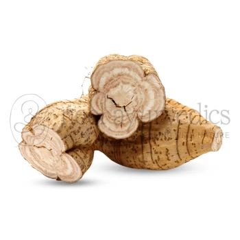 Neel Ayurvedics Vidarikand | Pueraria tuberosa