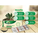 Zandu-Chirakin-Tablets-–-10-Tab.png