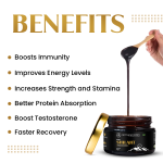 Neel Ayurvedics Shilajit Resin