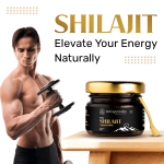 Neel Ayurvedics Shilajit Resin