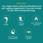 Charak-Fortyfitt-Tablet-–-60-Tab.png