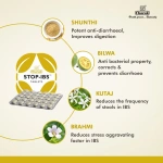 Charak-Stop-Ibs-Tablets-–-30-Tab.png