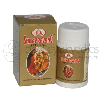 Dhootapapeshwar Shilapravang Special - 30 Tab
