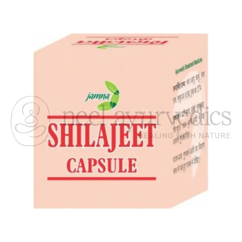 Jamna Pharma Shilajeet Capsule - 30 Cap