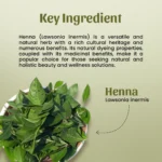 Neel-Ayurvedics-Henna-Powder