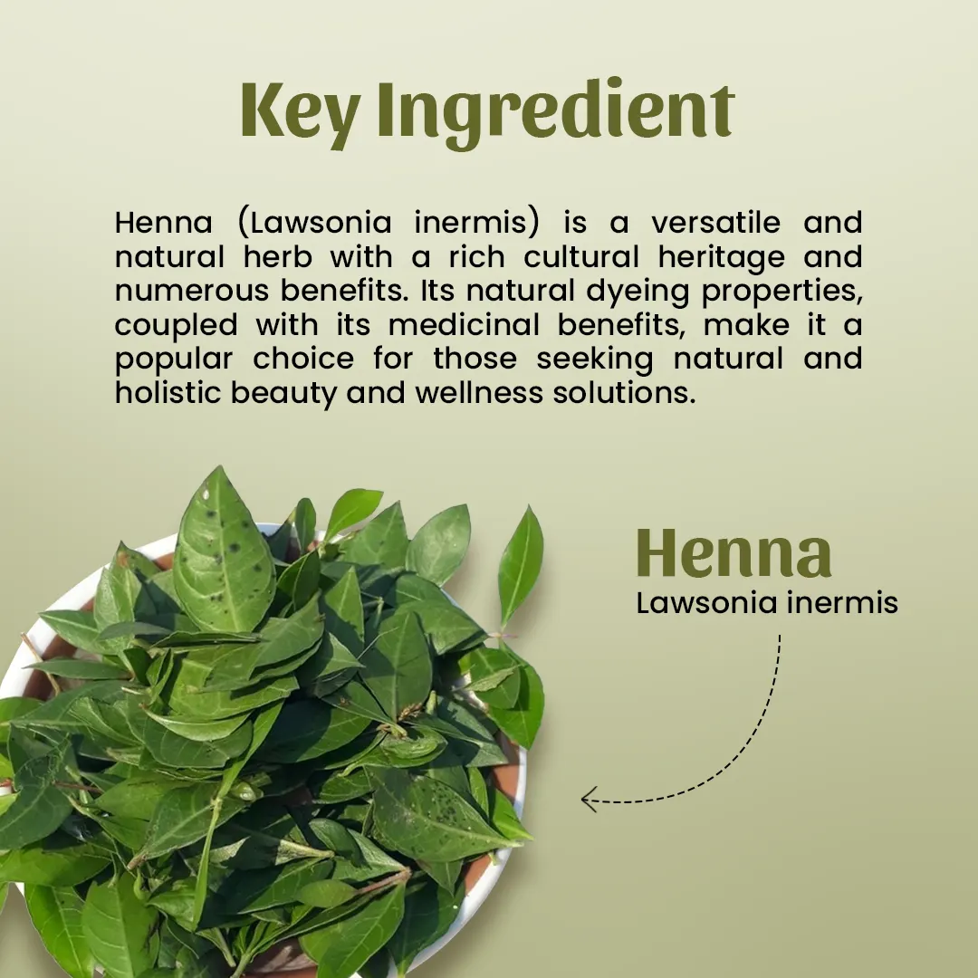 Neel-Ayurvedics-Henna-Powder-Key-Ingredients