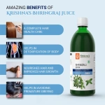 Krishnas-Herbal-And-Ayurveda-Bhringraj-Swaras-–-500-ML.webp