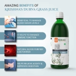 Krishnas-Herbal-And-Ayurveda-Durva-Grass-Juice-–-1000-ML.webp
