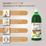 Krishnas-Herbal-And-Ayurveda-Fat-Reducer-Juice-–-1000-Ml.webp