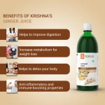 Krishnas-Herbal-And-Ayurveda-Ginger-Juice-–-1000-ML1.webp