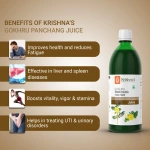 Krishnas-Herbal-And-Ayurveda-Gokhru-Panchang-Juice-–-1000-ML1.webp
