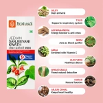Krishnas-Herbal-And-Ayurveda-Jeevan-Sanjeevani-Kwath.webp