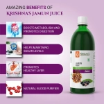 Krishnas-Herbal-And-Ayurveda-Jamun-Juice-–-1000-ML1.webp