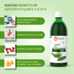 Krishnas-Herbal-And-Ayurveda-Karela-Juice-–-1000-ML.webp