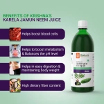 Krishnas-Herbal-And-Ayurveda-Karela-Jamun-Neem-Juice-–-1000-ML1.webp