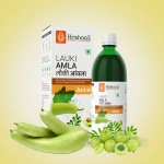 Krishnas-Herbal-And-Ayurveda-Lauki-Amla-Juice-–-500-ML.webp