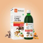Krishnas-Herbal-And-Ayurveda-Lungs-Care-Juice-1000-ML.webp