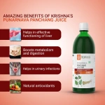 Krishnas-Herbal-And-Ayurveda-Punarnava-Panchang-Juice-–-1000-ML.webp