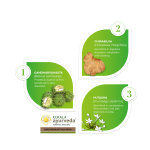 Kerala-Ayurveda-Gandharvahasthadi-Kwath-–-200-ml.webp