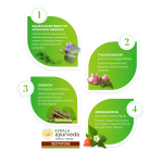 Kerala-Ayurveda-Gestatone-Lehyam-250-Gm.webp