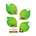 Kerala-Ayurveda-Gestatone-Lehyam-250-Gm.webp