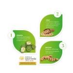 Kerala-Ayurveda-Gandharvahastadi-Castor-Oil-100-ml.webp