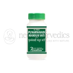 Punarvasu Punarnavadi Mandur Vati - 120 Tab