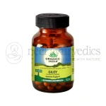 Organic India Giloy - 60 Cap