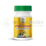 SAG Rushimuni Chyavanprash - 500 Gm