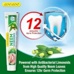 Khojati-Loo-Loo-Neem-Herbal-Dental-Gel.webp