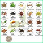 Wellway-Ayurvedic-Chai-1.webp