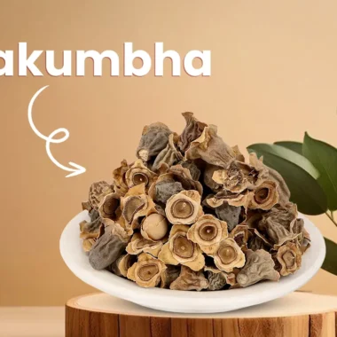 Vakumbha – A Powerful Ayurvedic Herb for Digestive Health and Wellbeing in the UK.