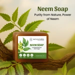 Neel Ayurvedics Neem Soap