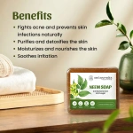 Neel Ayurvedics Neem Soap